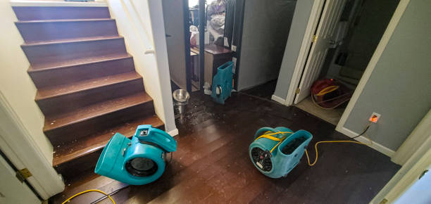Best Water damage restoration near me  in Glen Ellyn, IL