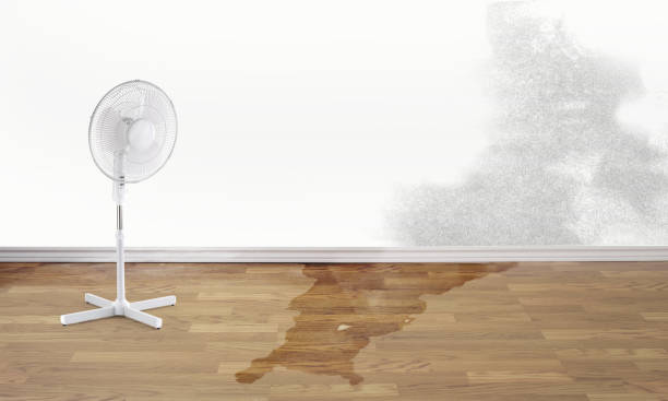 Best 24/7 water damage repair  in Glen Ellyn, IL