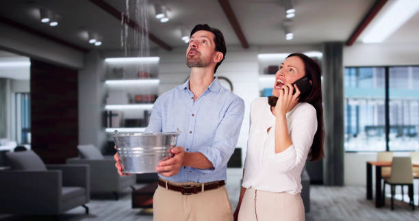 Best Flood restoration services  in Glen Ellyn, IL